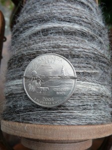 GreyDorsetDay6